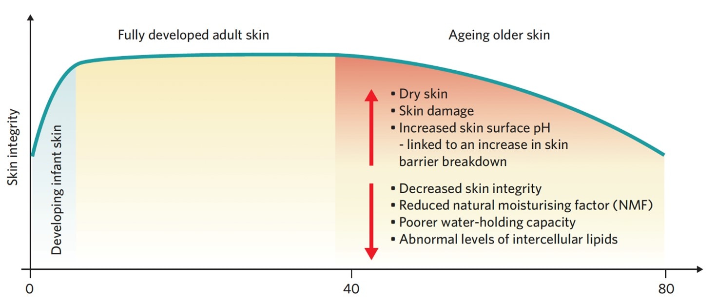 skin integrity over time.jpg