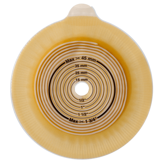 Assura/Alterna Click baseplate